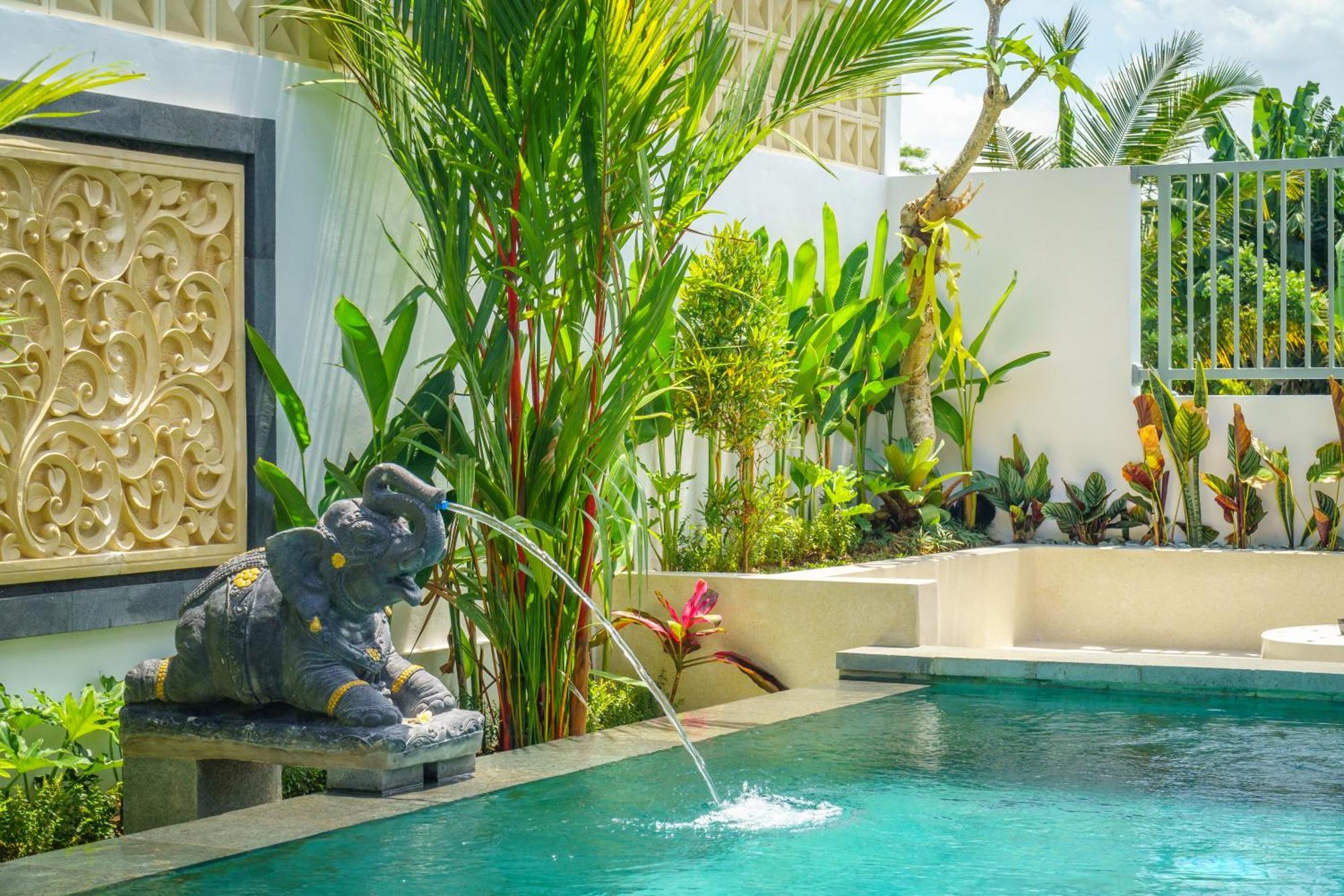 Vasista * Ubud